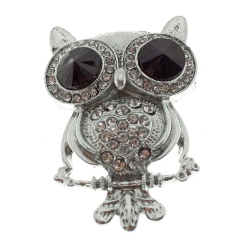 Wholesale Silver Color Black Eye Owl Model Brooch - 1759