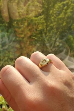 3464008fd0ab4c999ad6fcc8d35da2ae