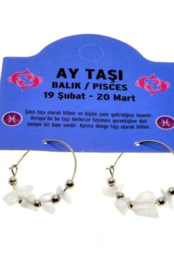 Toptan Doğaltaş Balık Burçu Ay Taşı Burç Küpe - 2332