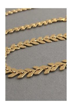 c78130a81cec4c4cb1f28d79dc78c56c