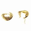Steel Earring