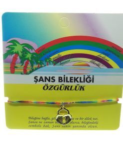 62a32fc1f0874908a55763aebb72339f