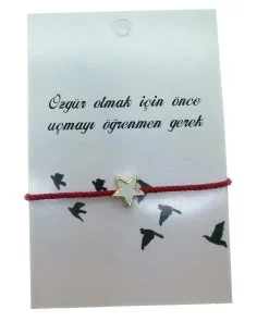 ece8200fb2e84467bfc7da6ae6761db8