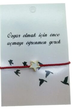 ece8200fb2e84467bfc7da6ae6761db8
