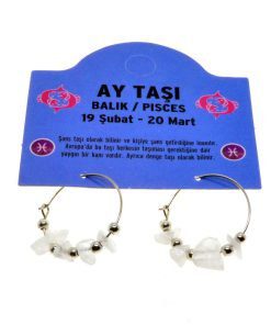 Toptan Doğaltaş Balık Burçu Ay Taşı Burç Küpe - 2332