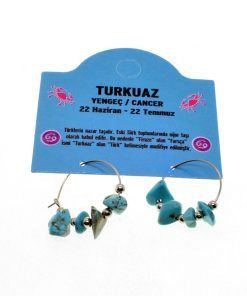 Toptan Doğaltaş Yengeç Burçu Turkuaz Taşı Burç Küpe - 2343